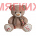Мягкая игрушка Медведь DL106000207B